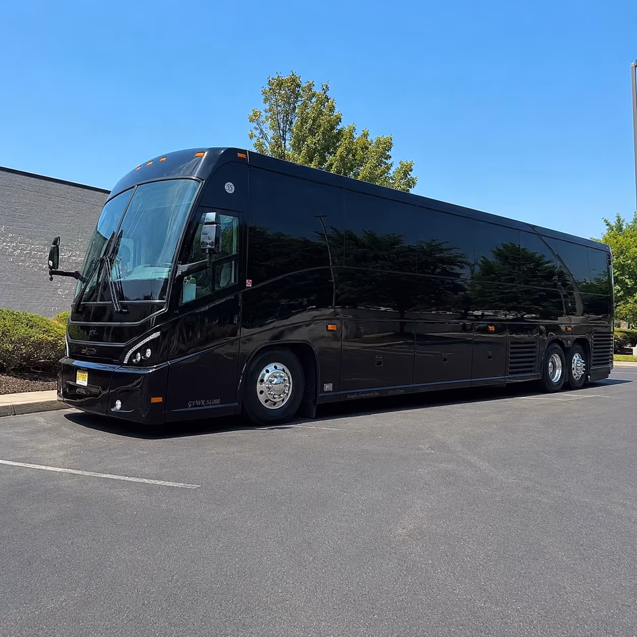 new york city day trips and overnight runs from danbury