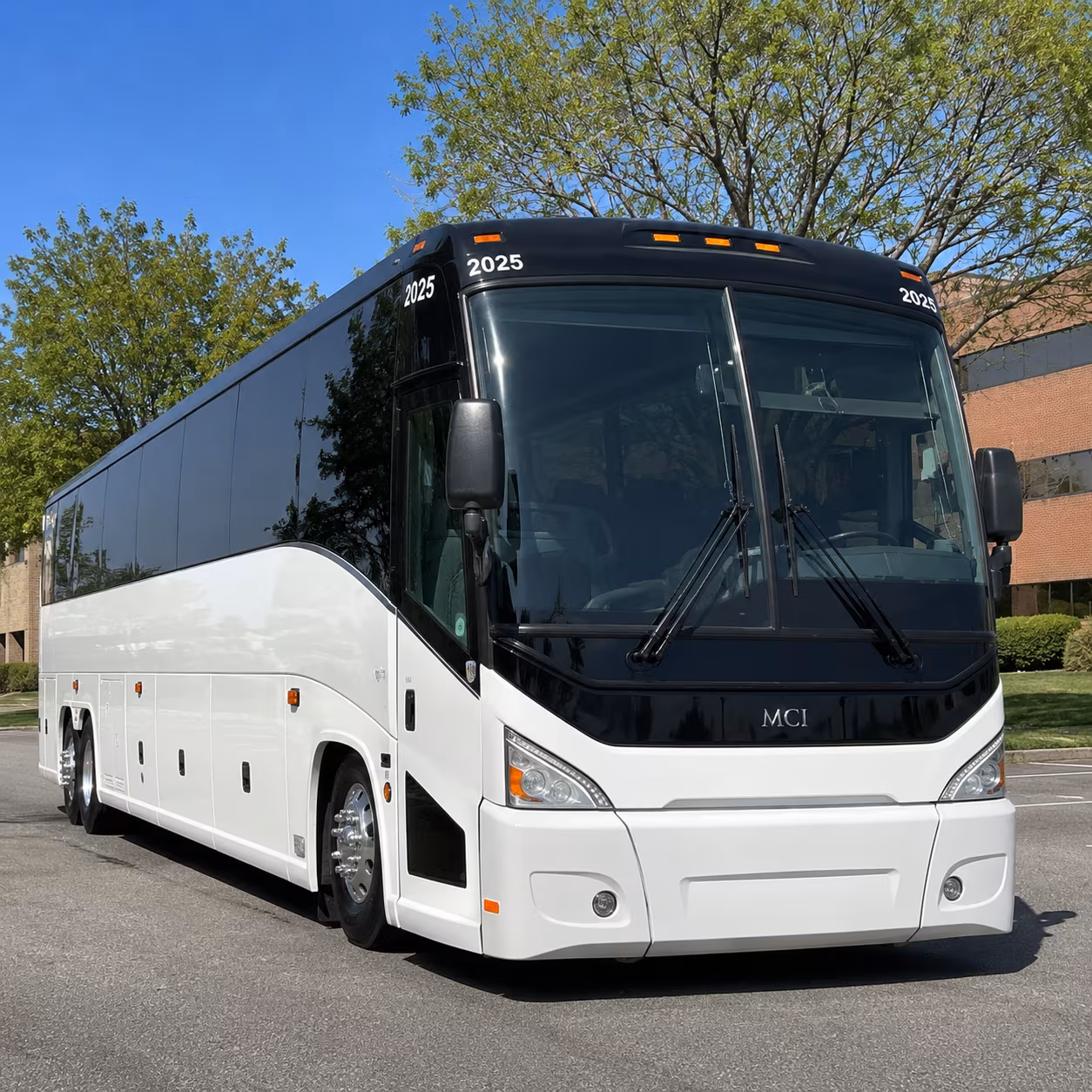 why a charter bus is the right call for yale peabody museum trips